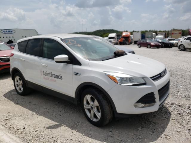 2014 ford escape se