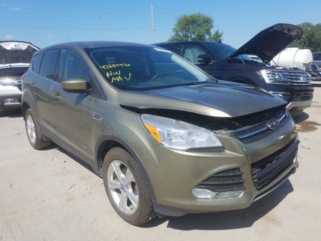 2013 ford escape
