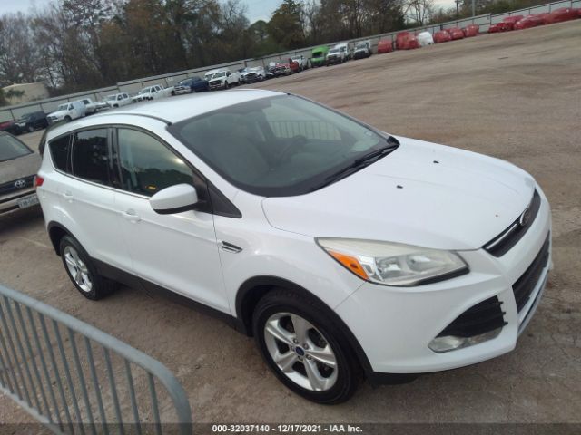 2013 ford escape