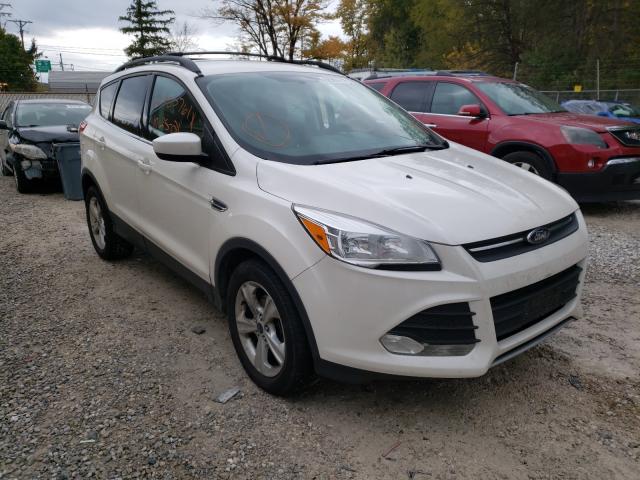 2014 ford escape se