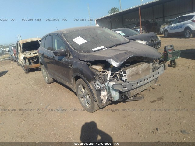 2015 ford escape
