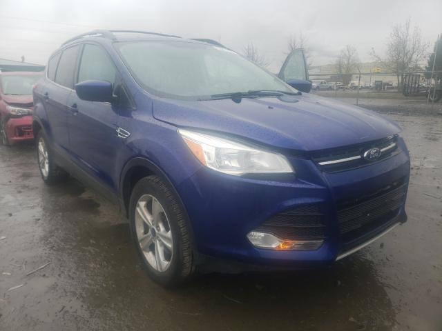 2013 ford escape se