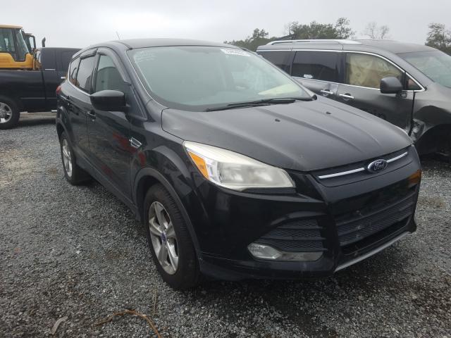 2013 ford escape se