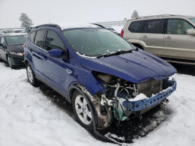 2014 ford escape se