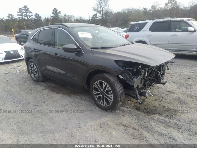 2020 ford escape