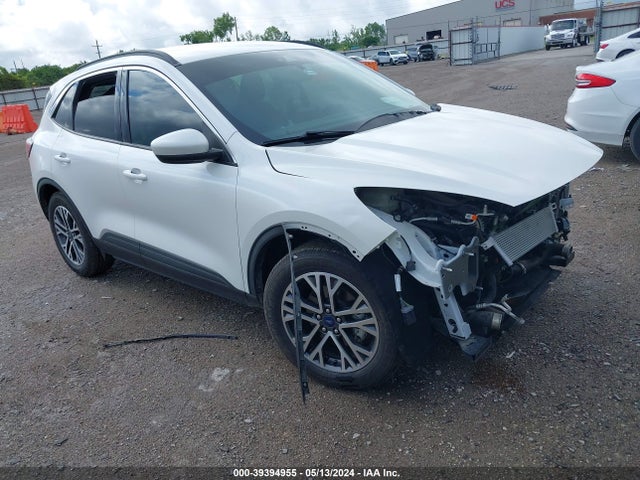 2019 ford escape