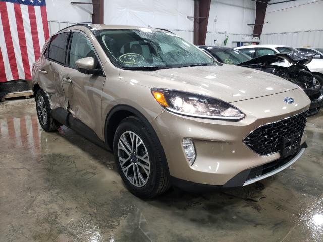 2020 ford escape sel