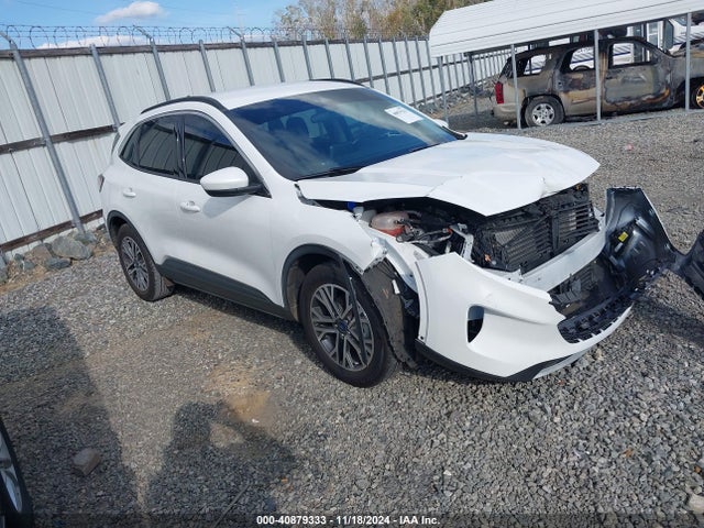 2019 ford escape