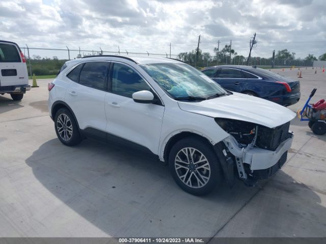 2020 ford escape