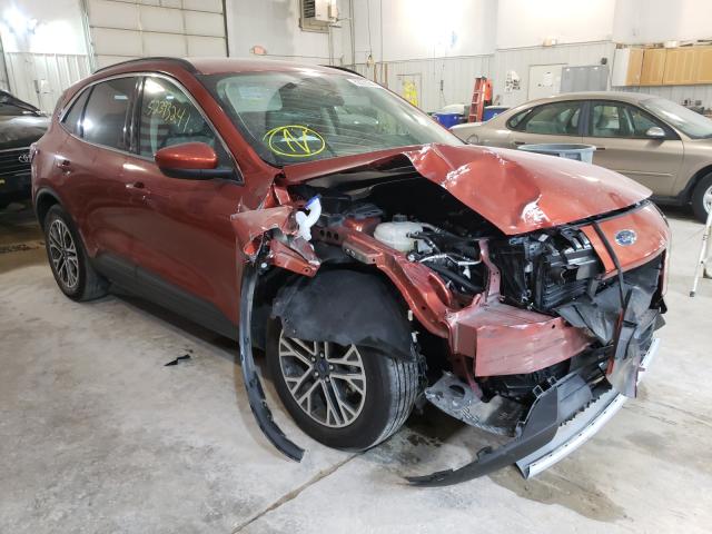 2020 ford escape sel
