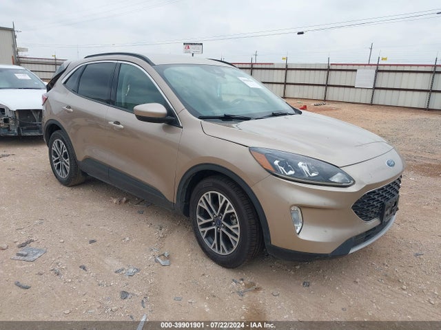2019 ford escape
