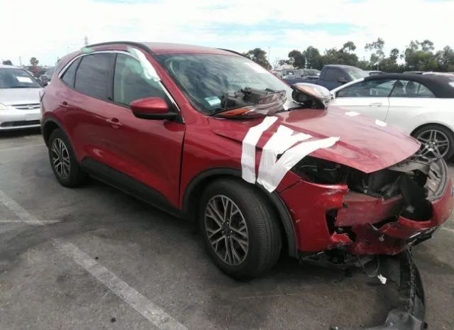 2020 ford escape