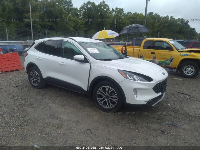 2020 ford escape