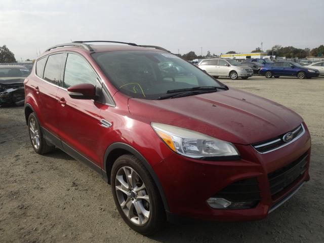 2013 ford escape sel