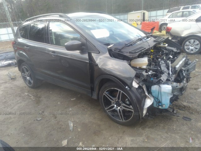 2019 ford escape