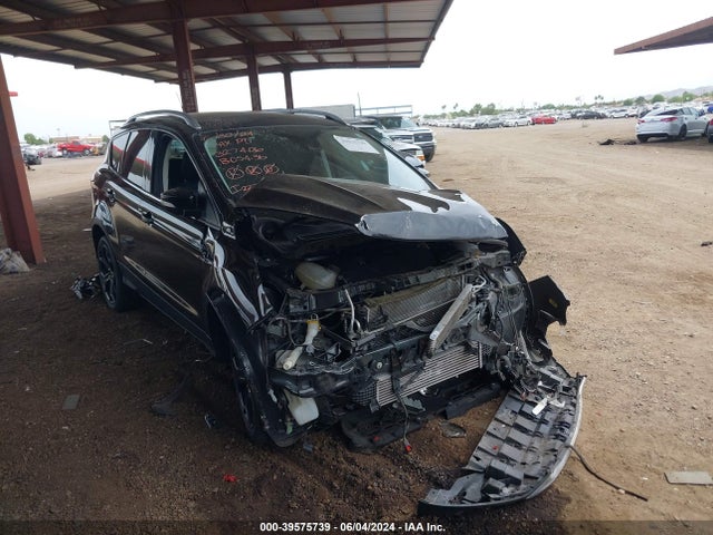 2019 ford escape