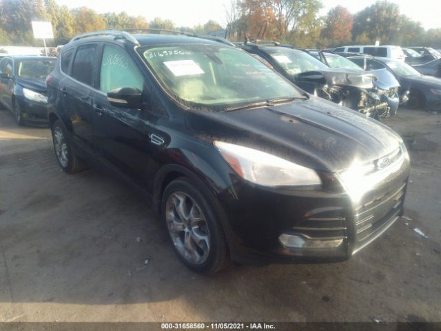 2013 ford escape