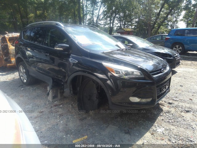2015 ford escape