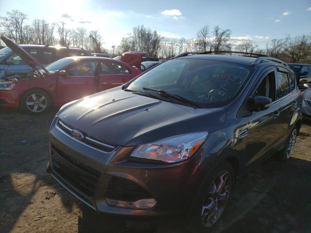 2015 ford escape