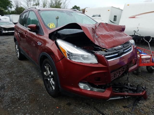 2014 ford escape