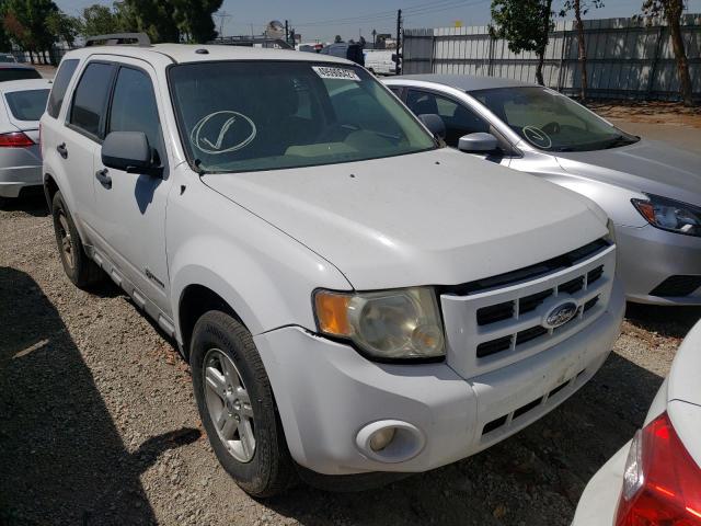 2009 ford escape