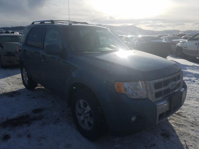 2010 ford escape hyb