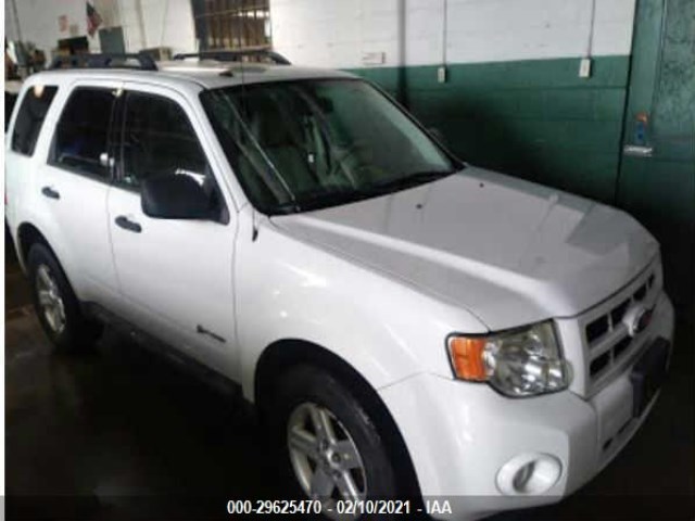 2010 ford escape