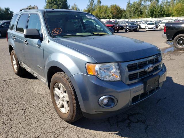 2010 ford escape hyb