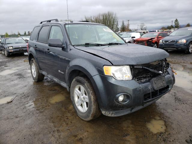 2009 ford escape hyb