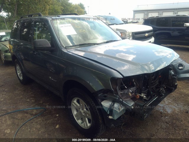 2010 ford escape