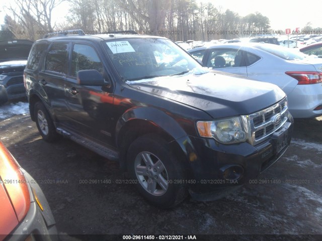 2011 ford escape
