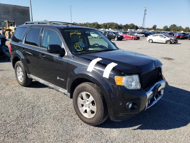 2011 ford escape hyb