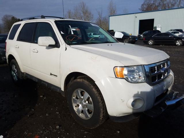 2010 ford escape