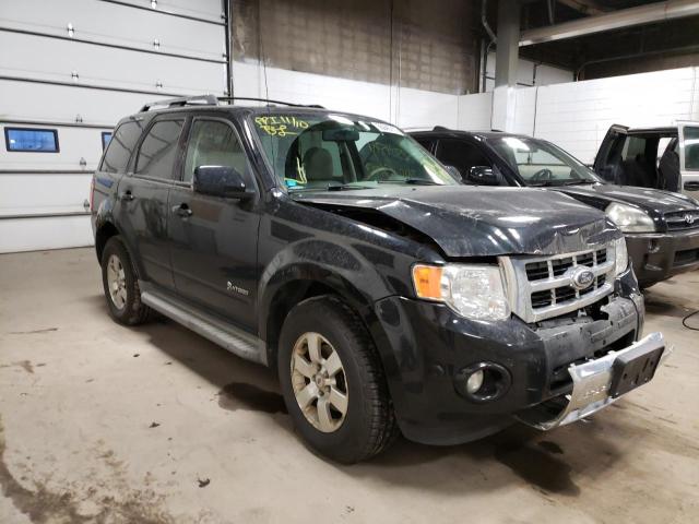 2010 ford escape hyb