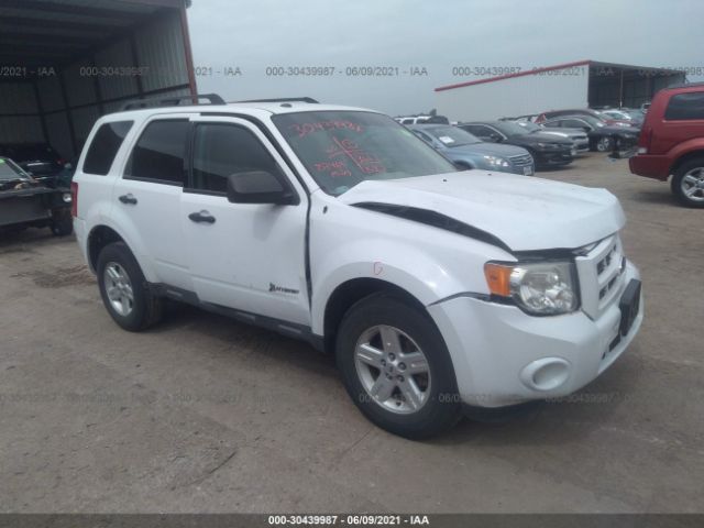 2011 ford escape