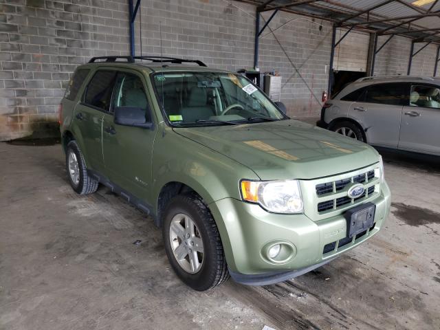 2010 ford escape hyb