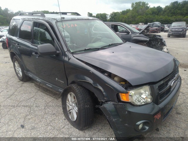 2009 ford escape