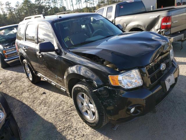 2010 ford escape hyb
