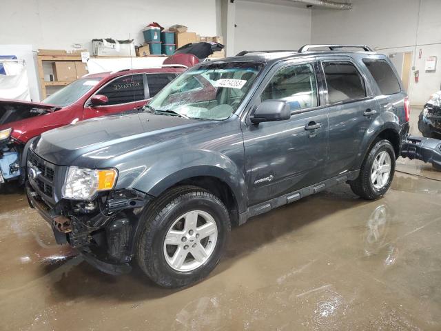 2010 ford escape hyb