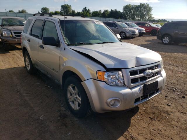 2010 ford escape hyb
