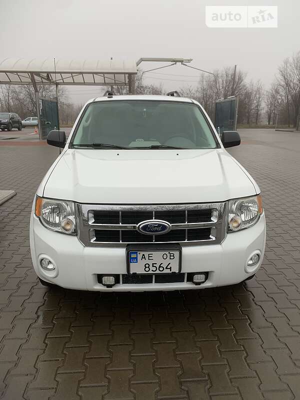 2010 ford escape
