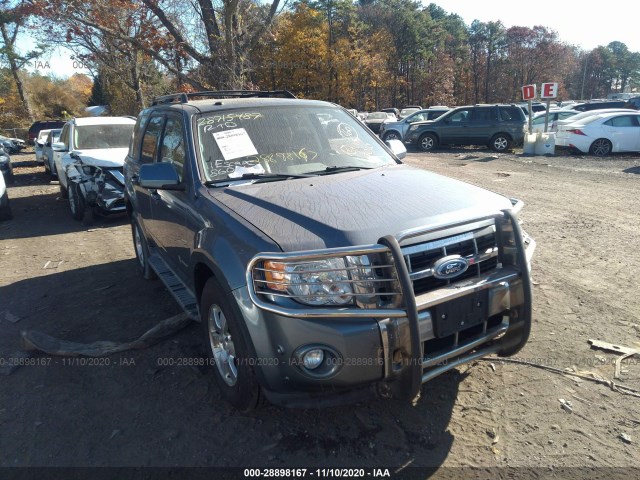 2010 ford escape