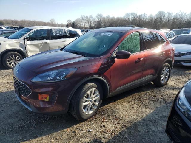 2021 ford escape