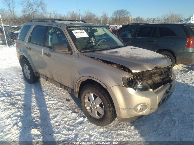 2009 ford escape