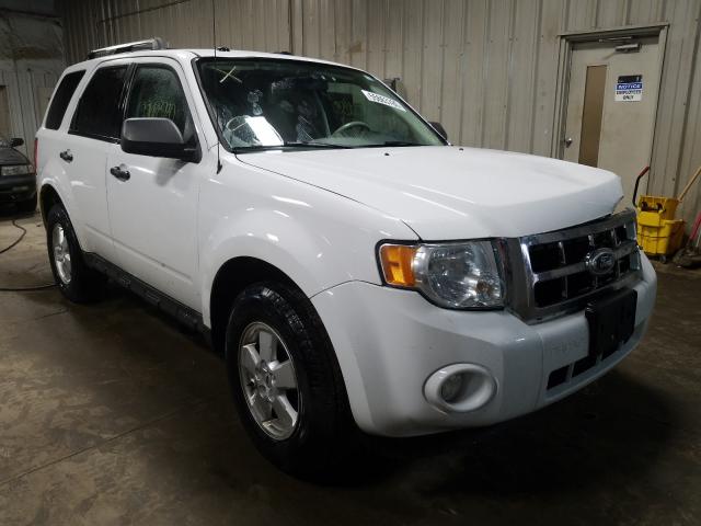 2010 ford escape