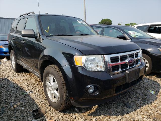 2010 ford escape