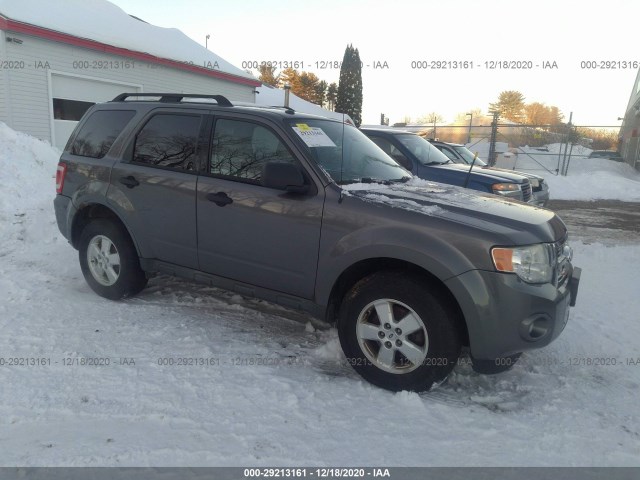 2010 ford escape
