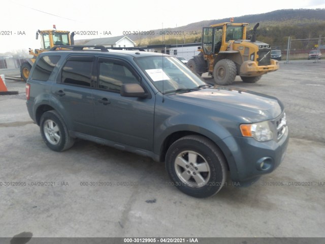 2010 FORD Escape
