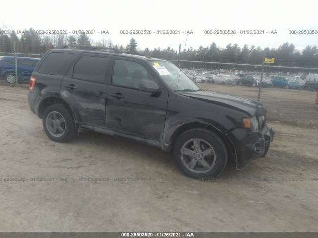 2010 FORD Escape