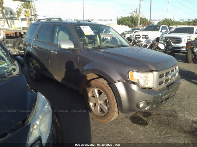 2011 ford escape